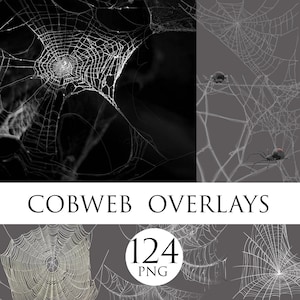 Spooky Spider Web, Halloween overlays, Spider png, Digital download