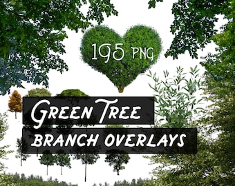 Green Tree Photoshop Overlays, Green Branches Overlays, Spring Overlays, Tree Branches, Green Leaves, Leaf Clip Art, PNG, Digital Download