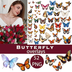 Borboleta PNG, Borboletas Clipart, Download Digital