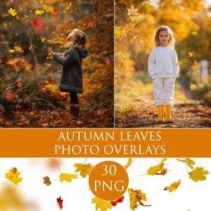 Superpositions de photos de feuilles d&#39;automne, chute de feuilles réaliste PNG, clipart numérique
