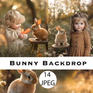 A soft scene of a rabbit sitting on a wooden chair, Bunny Digital Backdrop, Easter Animals in the Woods  Backdrops, Easter Background, Bunny