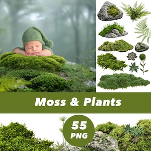 May include: A newborn baby wearing a green knit cap is nestled on a bed of green moss. The image includes various moss and plant elements, including rocks with moss, ferns, and succulents. The text "Moss & Plants" is displayed.