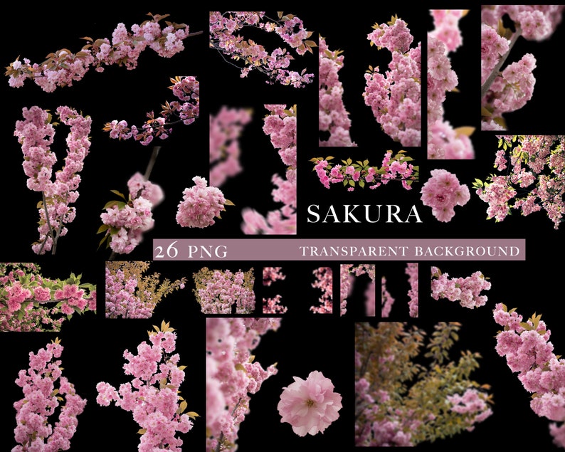 Sakura overlays, Cherry blossoms png, Blooming spring branch overlays, Pink Blossom Tree photo overlays, Cherry Blossom Photoshop Overlays image 2