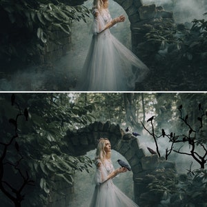 May include: A woman in a white dress stands in a misty forest, with a stone archway behind her. She is holding a small black bird in her hand. There are several black birds perched on branches in the background.