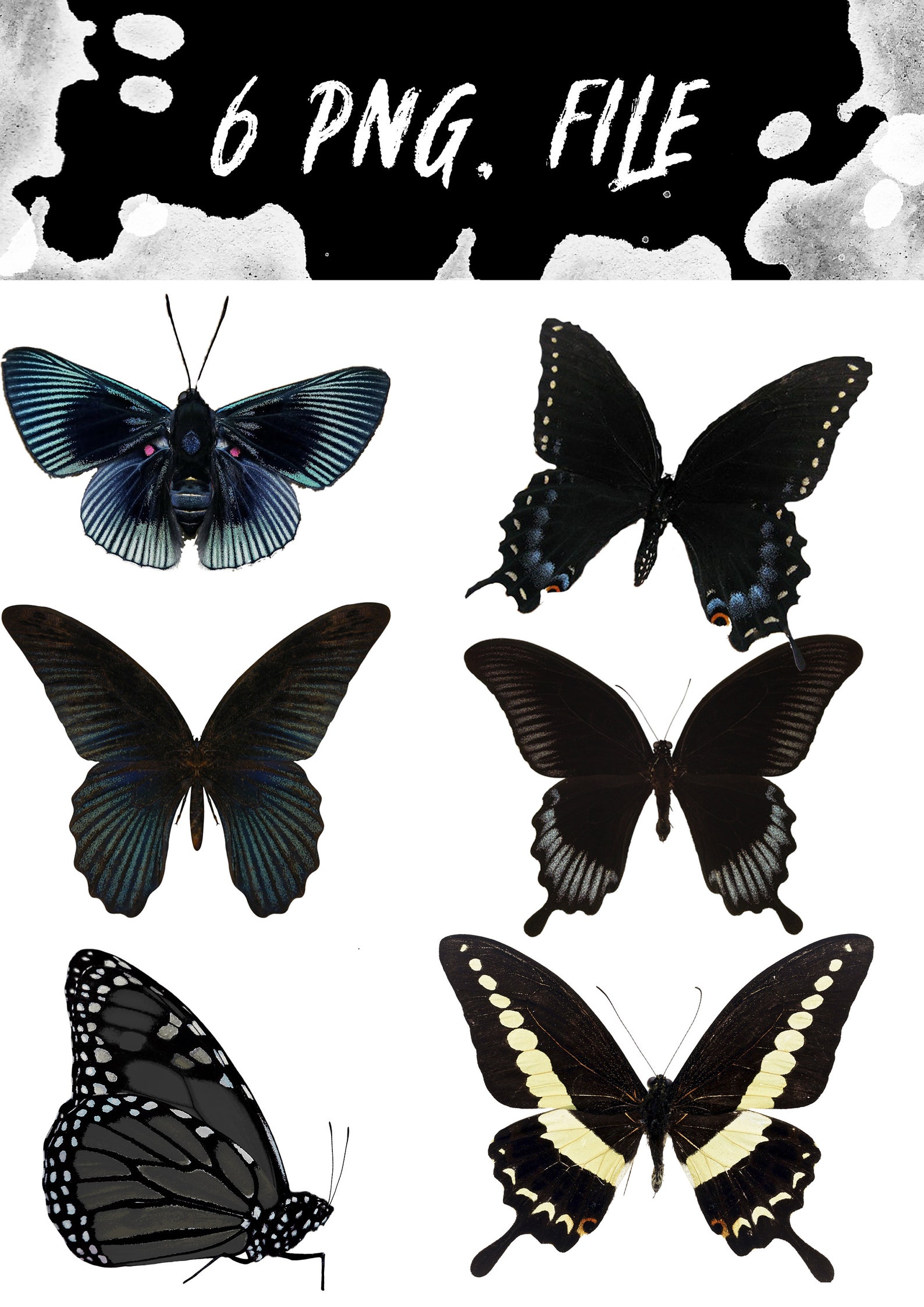 6 Butterflies Photo Overlays Butterfly Overlays for Etsy