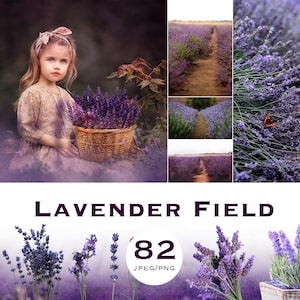Lavender Field, Lavender Overlay, Digital Background, Photo Overlays, Lavender Field, Purple Flowers Landscape, Flower Overlays,Lavender png