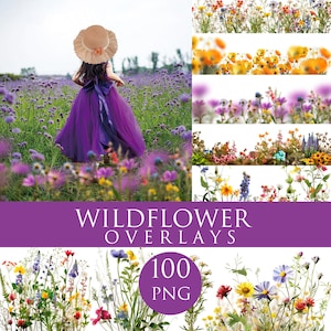 Wildflower overlays, flower overlays, Flowering Fields for Photo Editing, Digital Floral png, Blooming Glade Effect, summer overlay flowers
