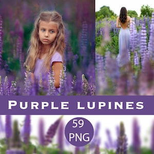 Superpositions de fleurs peintes, superpositions de fleurs violettes, lupins de fleurs sauvages png, fond numérique de champ de fleurs sauvages, fond de prairie d'été