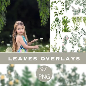 Photoshop-overlays boom en bladeren, groene takken en bladeren, png, zomeroverlay, doorkijkbrunches