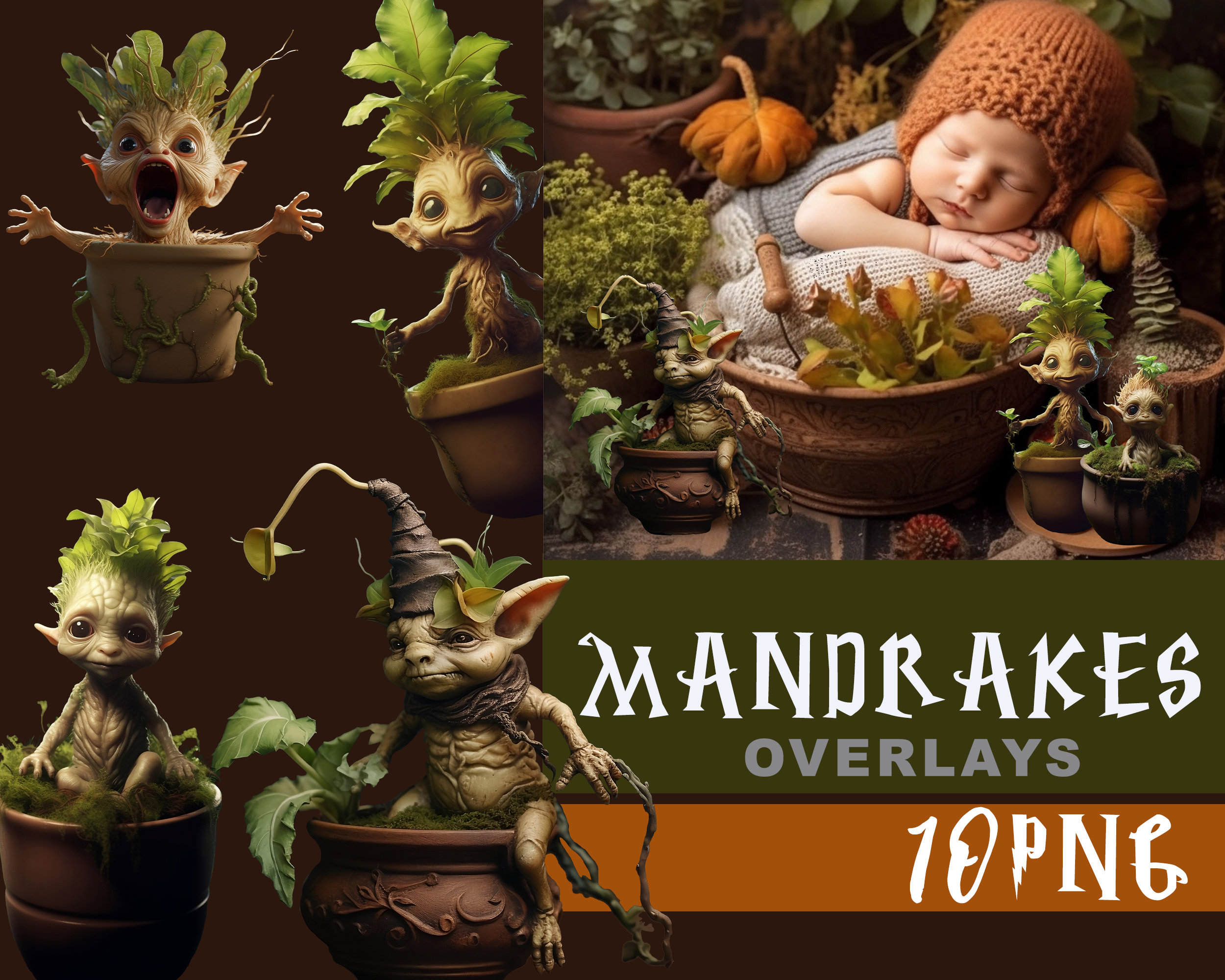 Mandrake Plant Stylized Baby Mandragora Magic Herbology 