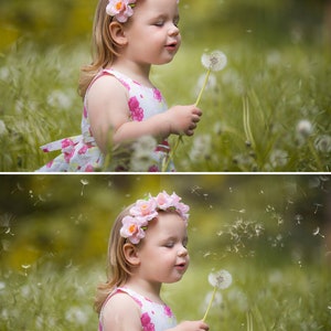 Dandelion overlays, Realistic Dandelion Photoshop Overlays, Spring photoshop overlays, dandelion flowers, Digital Background, Dandelion Seed image 5