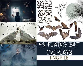 Bats overlays, Flying Bats Overlays, Spooky Overlays, Halloween overlays, Bats clipart, Fly Birds overlays, Realistic bats, Bats png clipart