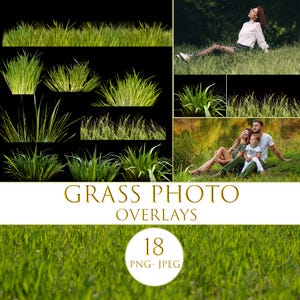 Grass photo overlays, Glade photoshop overlays, Grass png, Foreground Elements, Photoshop Overlays, Digital Backdrop, Green Plant Overlays