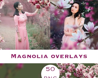 Magnolia-overlays, magnoliabloesem, lente-overlays magnolia, magnoliabloem png, achtergrondkaart lentebloem, overlays bloemenbrunches