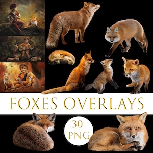 Superposiciones de zorros, superposiciones de Pascua, animales reales, superposiciones de animales del bosque, superposiciones de Photoshop de animales salvajes del bosque, superposiciones de zorros salvajes, animales
