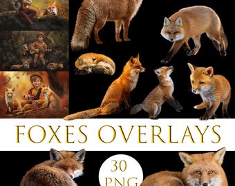 Foxes overlays, Easter overlays, Real Animals, Forest animal overlays, Forest Wild Animals Photoshop Overlays, Wild Fox overlays, Animal png