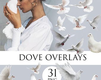 Bird clipart Dove overlay Wedding Dove png, dove overlays, birds photoshop overlays, bird overlays, white birds png, pigeon overlays