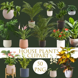 Puede incluir: Una colección de varias plantas de interior en macetas, incluyendo helechos, palmeras y plantas con flores, en una variedad de macetas. La imagen incluye el texto "HOUSE PLANTS CLIPART" y "50 PNG". Las plantas están en macetas blancas, rosas y grises.
