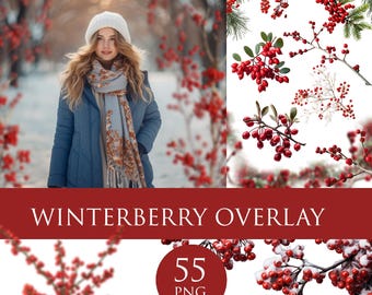 Berries clipart, Christmas overlay, Winter overlay, winterberry overlay, red berry overlay, transparent png, winter branch overlay, portrait
