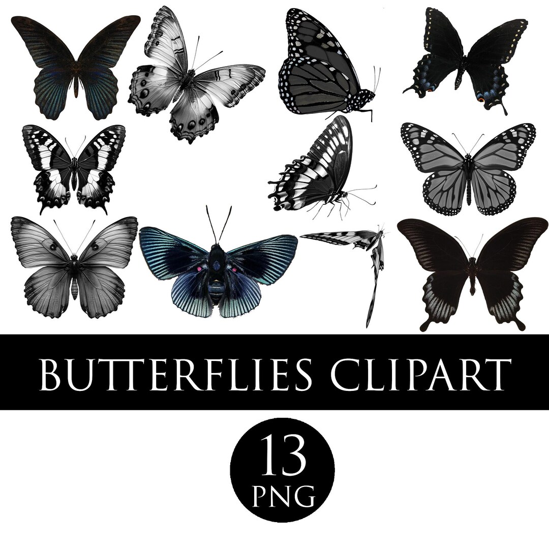 Butterflies Clipart, Butterfly Overlays, Photo Overlays, PNG FILES ...