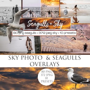 372 Sky photo overlays,  Seagull overlays, Seagull photo overlay, Photography Overlay, Sky png, birds overlays, Lightroom preset,Sky Overlay