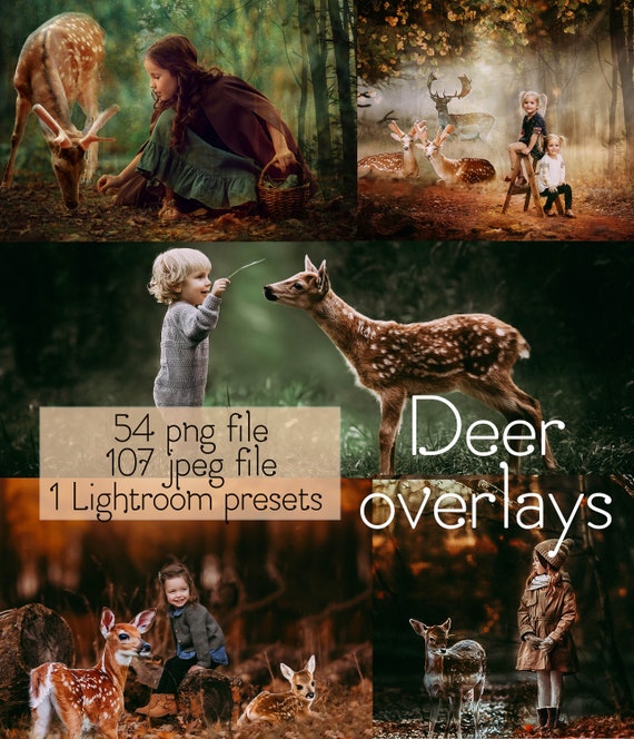 Deer Overlays Animal Overlay and Photoshop Action Collection - Etsy Deer Overlays Animal Overlay and Photoshop Action Collection - Etsy