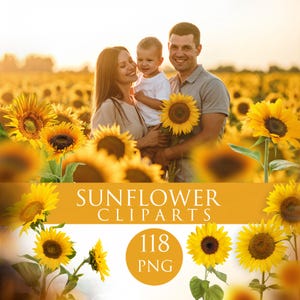 ひまわりのクリップアートPngのバンドル、夏のオーバーレイ、ひまわりの背景、花のpng、ひまわりのクリップアート、印刷可能なひまわり、夏のオーバーレイ