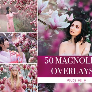 Magnolia overlays, magnolia bloesem, magnolia lente overlays, magnolia bloem png, lentebloem achtergrondkaart, bloembrunches overlays afbeelding 1