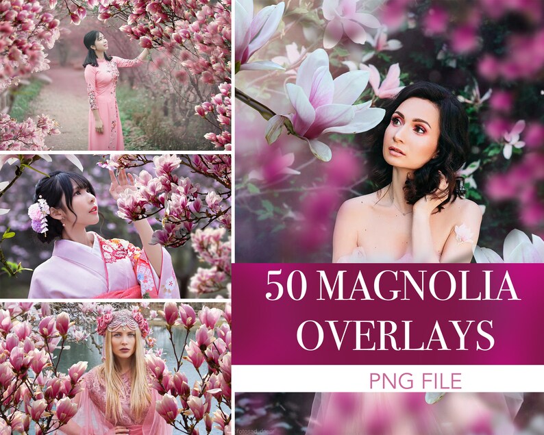 Magnolia overlays, magnolia bloesem, magnolia lente overlays, magnolia bloem png, lentebloem achtergrondkaart, bloembrunches overlays afbeelding 1