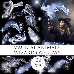 Magical animals wizard overlay, Glowing Digital Overlay, wizard animal digital overlay, Mythical Smoke Animal Overlay, Magic animal png