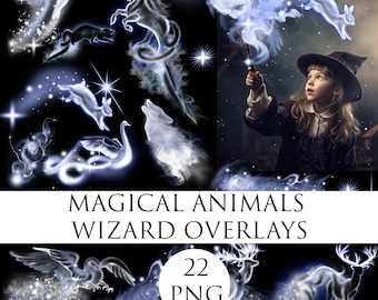 Magical animals wizard overlay, Glowing Digital Overlay, wizard animal digital overlay, Mythical Smoke Animal Overlay, Magic animal png