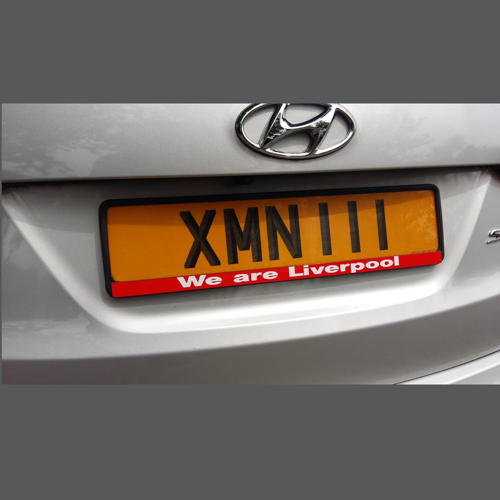 number plate light defective passat b6
