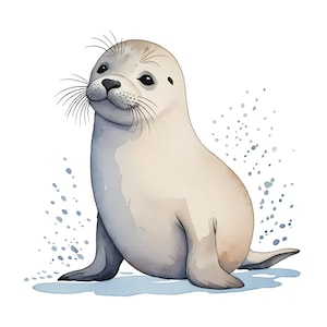 Könnte beinhalten: Ein Aquarellbild eines niedlichen, grau-weißen Seehunds mit einem hellblauen Hintergrund. Der Seehund sitzt auf seinen Hinterflossen, seine Vorderflossen ruhen auf dem Boden. Der Seehund hat einen süßen Ausdruck im Gesicht und schaut nach oben.
