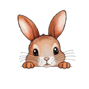 Könnte beinhalten: Ein braunes Kaninchen mit großen Augen schaut über eine weiße Oberfläche. Das Kaninchen hat eine rosa Nase und einen kleinen Mund.