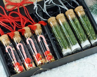 Handmade Christmas Test Tube Ornament Set, Candy Cane & Pine