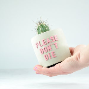 Beton kaktus topf - Etsy.de