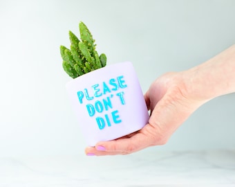 Purple Planter for Succulents, Concrete Pot, Cactus Planter, Indoor Planter with Funny Message, Handmade Cactus Pot, Spring Decor, Gift Idea
