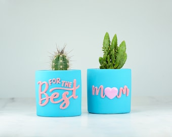 Gift Set for the Best Mom, Blue Cactus Small Pot, Concrete Planters Set of 2, Pot for Succulent, Pot with Message, Mothers Day Gift