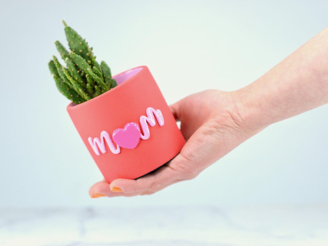 Red Pot With Pink Details, Gift for Mom, Indoor Concrete Cactus Pot ...