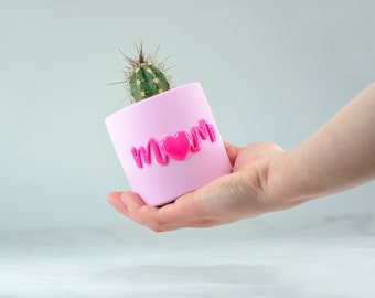 Pastel Pink Concrete Mom Pot, Neon Pink Detail, Pen & Cactus Holder