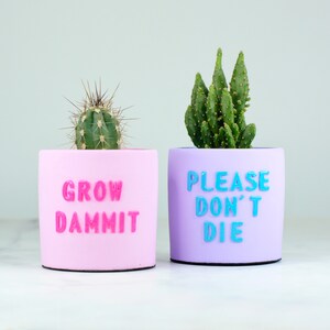 Könnte beinhalten: Zwei rosafarbene und violette Keramik-Blumentöpfe mit Kakteen. Der rosafarbene Topf hat den Text "GROW DAMMIT" in rosa Buchstaben. Der violette Topf hat den Text "PLEASE DON'T DIE" in blauen Buchstaben.