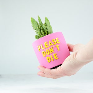 Pink Planter for Succulents, Small Concrete Pot, Cactus Planter, Indoor Planter with Funny Message, Cactus Pot, Spring Decor, Gift Idea