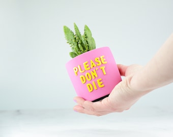 Pink Planter for Succulents, Small Concrete Pot, Cactus Planter, Indoor Planter with Funny Message, Cactus Pot, Spring Decor, Gift Idea