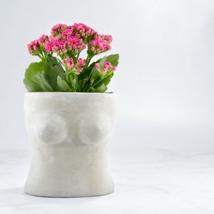 Boob Cement Planter, Körpertopf, Sukkulenten-Übertopf, Weibliche Vasendekoration, Damengeschenk, Indoor-Übertopf
