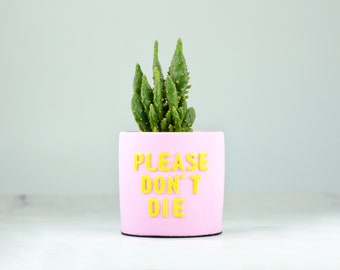 Pastel Pink and Yellow Planter for Cactus, Small Concrete Pot, Indoor Pot with Funny Message, Happy Spring Decor, Gift For a Plant Lover