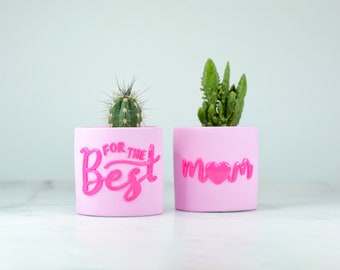 Best Mom Pastel Pink Concrete Pot Set, Succulent Planters