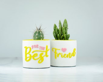 Gift for Best Friend, White with Yellow Planters, Set of 2 Small Concrete Pots for Succulents, Cactus Planters, Indoor Planters, Pen Holder