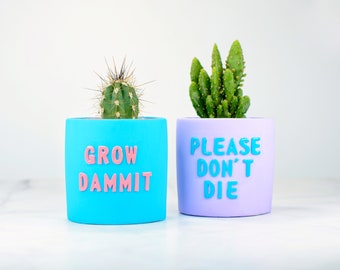 Blue and Purple Pots, Set of 2 Colorful Small Concrete Pots, Indoor Cactus Pots With Funny Message, Gift Idea For A Plant Lover, Happy Decor