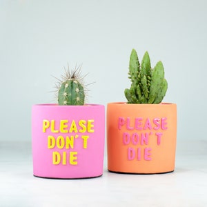 Könnte beinhalten: Zwei kleine, farbenfrohe Blumentöpfe mit Kakteen. Einer ist rosa mit gelbem Text "PLEASE DON'T DIE". Der andere ist orange mit demselben Text in Pink. Die Kakteen sind grün und stachelig.