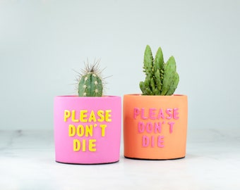 Hot Pink and Orange Pots, Set of 2 Colorful Small Concrete Pots, Indoor Cactus Pots With Funny Message, Gift Idea For A Plant Lover